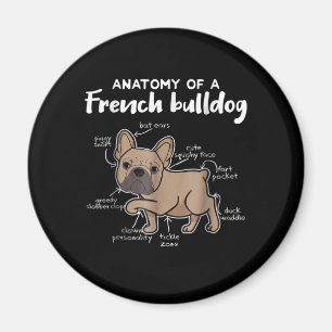 Frenchie Gift   Anatomy Of A French Bulldog Gift Magnet