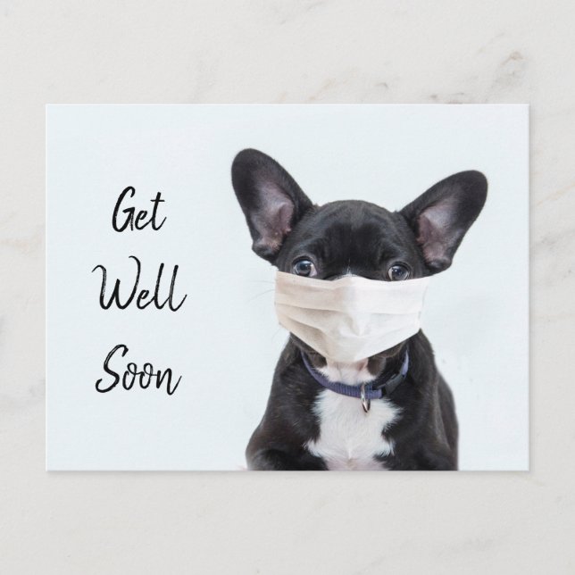 Frenchie in face mask get well postcard (Front)