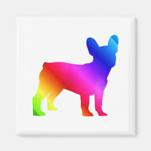 Frenchie magnet
