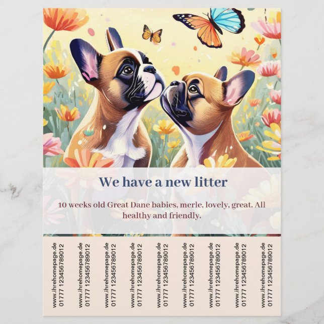 Frenchie puppy for sale flyer (Front)