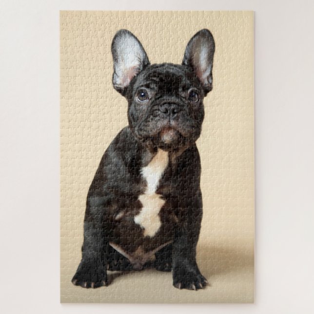 Frenchie Puppy Jigsaw Puzzle (Vertical)
