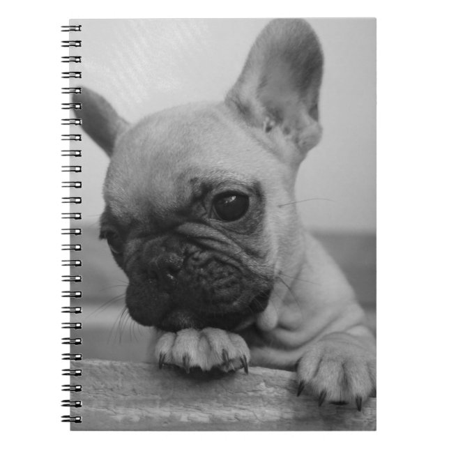 Frenchie puppy notebook (Front)