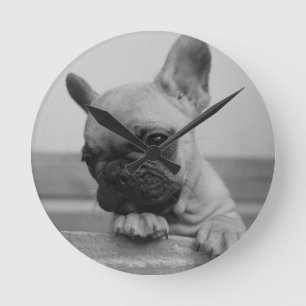Frenchie puppy round clock