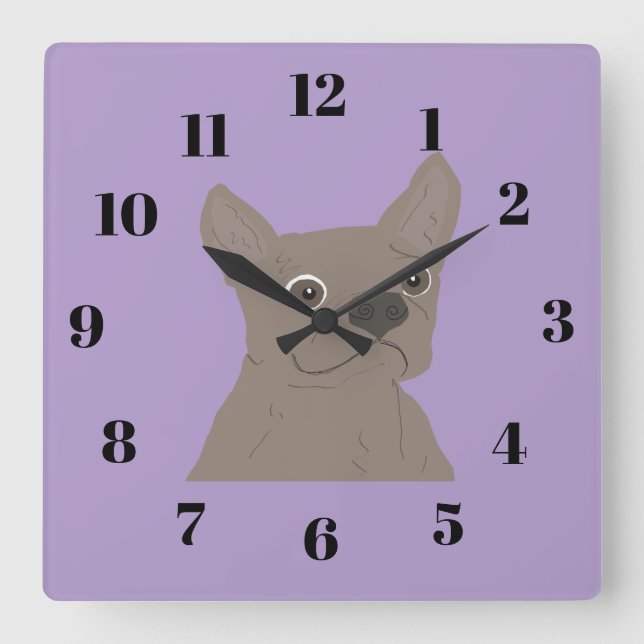 Frenchie, purple square wall clock (Front)