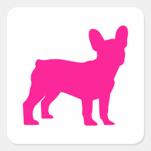 Frenchie  square sticker