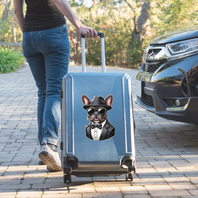 Frenchie The Gangster (Suitcase Insitu)