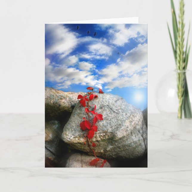 Fresh air card (Front)