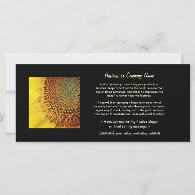 Fresh and Golden Sunflower (Front)