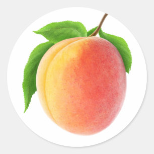 Fresh apricot classic round sticker