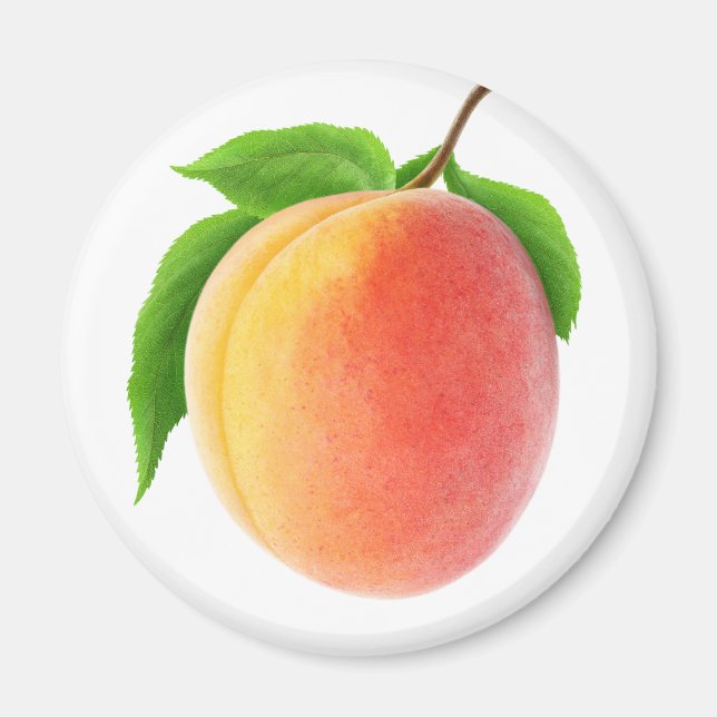 Fresh apricot magnet (Front)