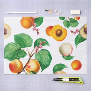 Fresh Apricot & Peach Orchard Pattern Tissue Paper