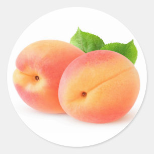 Fresh apricots classic round sticker