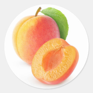 Fresh apricots classic round sticker
