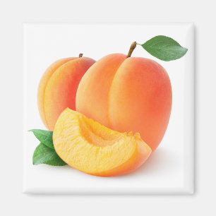Fresh apricots magnet