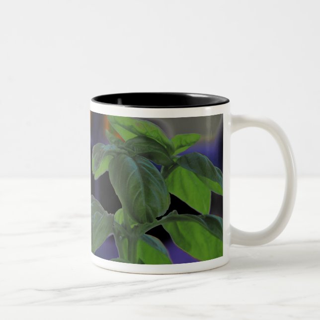 Fresh Basil Closeup Two-Tone Coffee Mug (Right)