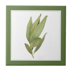 FRESH BAY LEAVES 4.25" Ceramic Tile (-text) Green