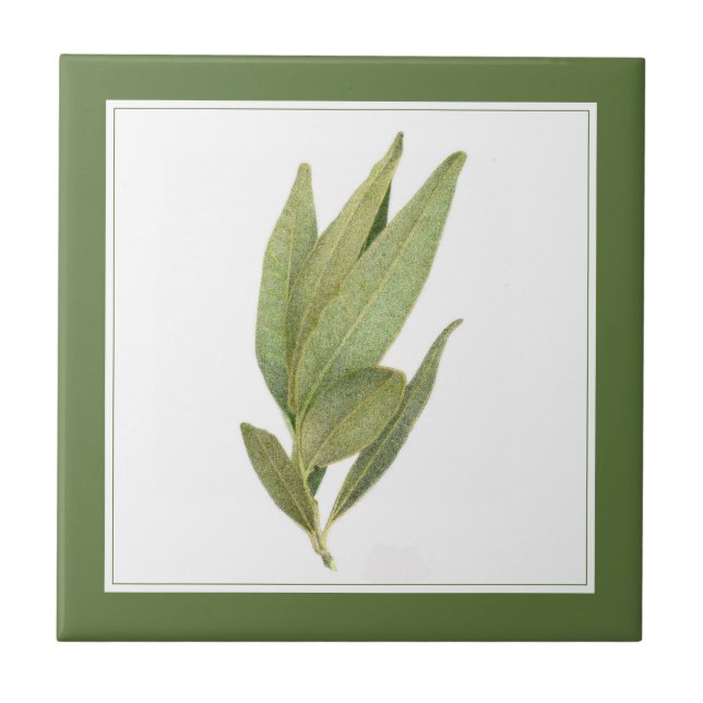 FRESH BAY LEAVES 4.25" Ceramic Tile (-text) Green (Front)