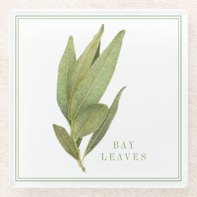 FRESH BAY LEAVES Glass Beverage Coaster (+text) (Front)