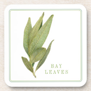 FRESH BAY LEAVES Hard Plastic Coasters (+text)