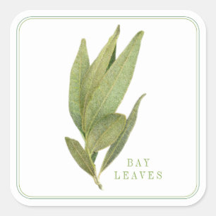 FRESH BAY LEAVES Large Square Stickers