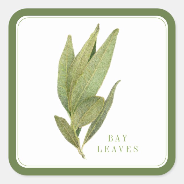 FRESH BAY LEAVES Large Square Stickers - Green (Front)