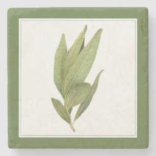 FRESH BAY LEAVES Marble Stone Coaster -text Green