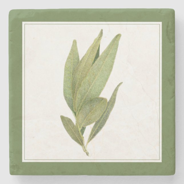 FRESH BAY LEAVES Marble Stone Coaster -text Green (Front)