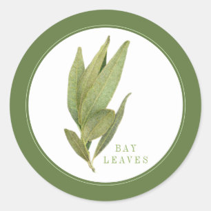 FRESH BAY LEAVES Small Round Stickers +text Green
