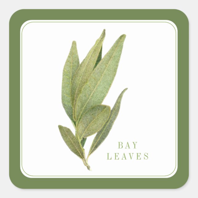 FRESH BAY LEAVES Small Square Stickers - Green (Front)