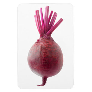 Fresh beetroot magnet