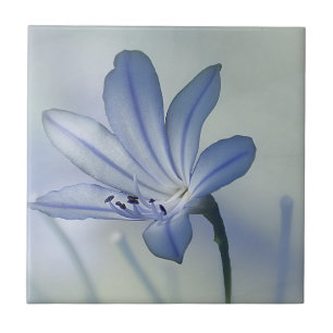 Fresh Blue Flower Photo Tile