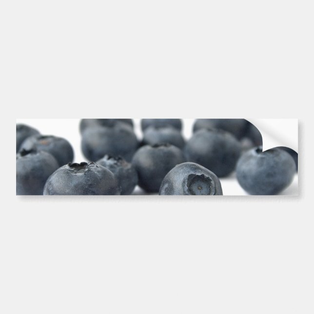Fresh Blueberries Bumper Sticker (Front)