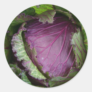 Fresh Cabbage Classic Round Sticker