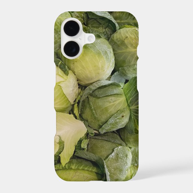fresh cabbage heads (Back)