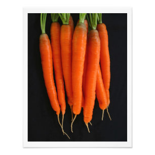 Fresh Carrots Photo Print