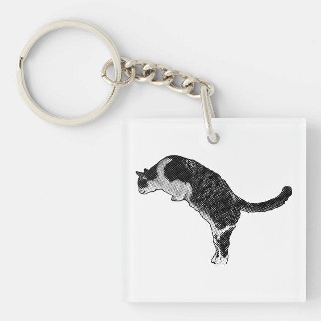 Fresh Cat Accent Key Ring (Front)