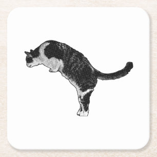 Fresh Cat Energy Square Paper Coaster