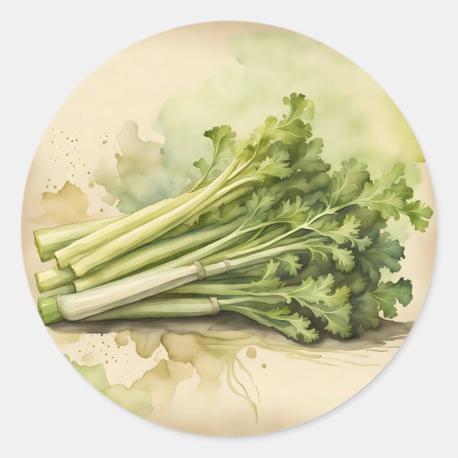 Fresh Celery Bunch Watercolor Classic Round Sticker (Front)
