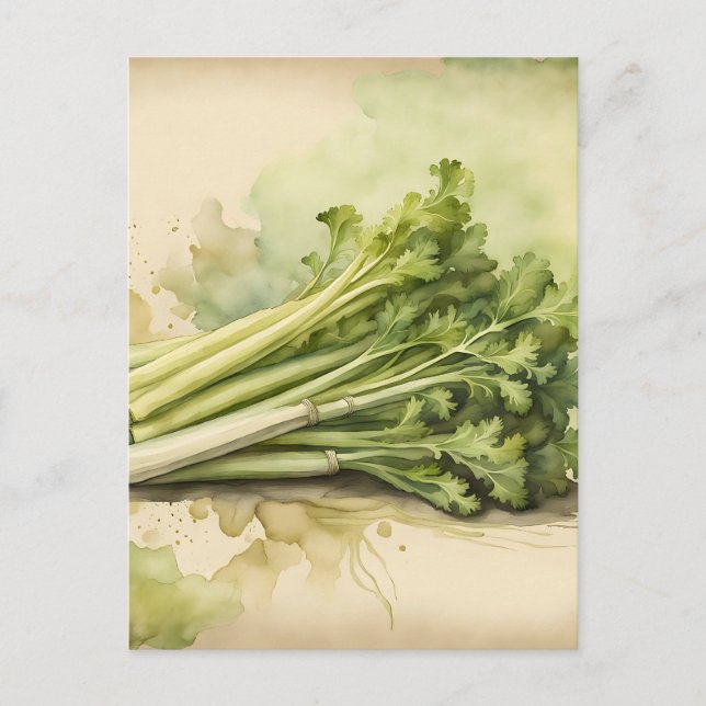 Fresh Celery Bunch Watercolor Postcard (Front)