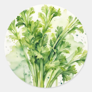 Fresh Celery Stalk Watercolor Botanical Classic Round Sticker