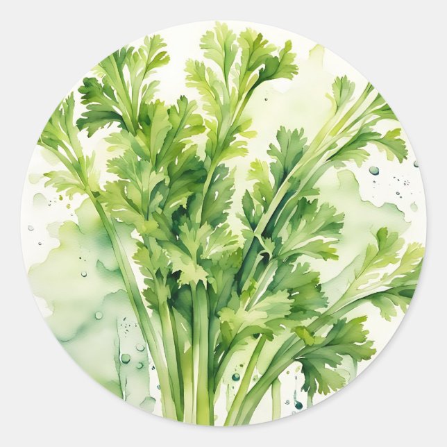Fresh Celery Stalk Watercolor Botanical Classic Round Sticker (Front)