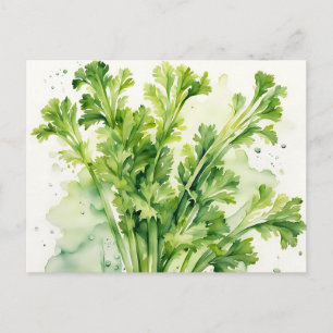 Fresh Celery Stalk Watercolor Botanical Postcard