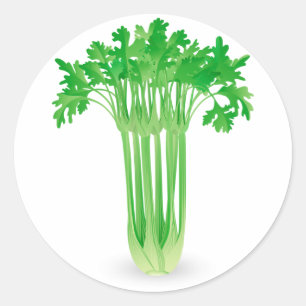 Fresh Celery Stickers