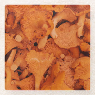 Fresh Chanterelle Mushrooms Photography Glass Coaster