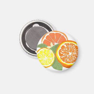 Fresh Citrus Slices Orange Lemon Magnet