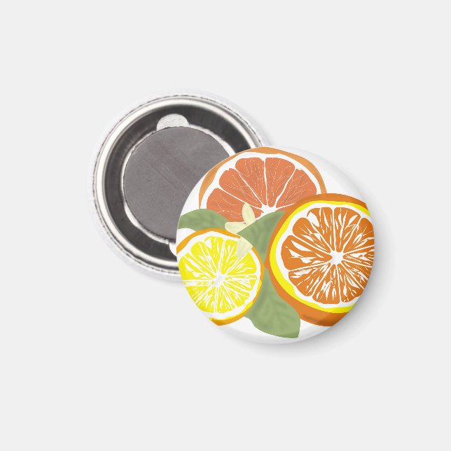 Fresh Citrus Slices Orange Lemon Magnet (Front/Back)