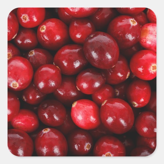 Fresh Cranberry Background Square Sticker (Front)