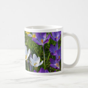 Fresh crocuses of different colours coffee mug