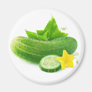 Fresh cucumber magnet