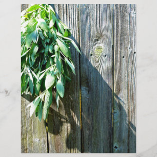 Fresh-cut Sage Barn-wood